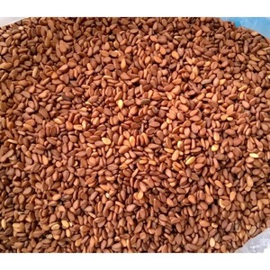 Graines de sésame rouge naturelles de qualité supérieure pour l'exportation en vrac, aliments secs propres et sélectionnés pour l'importation en gros, emballage pour acheteurs importateurs dans le monde entier - Product Image 3