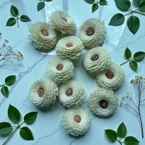 VADEE SOLA WOOD FLOWER Craft Handmade Sustainable Flower 5.5 CM Sesbania Plant Fiber Rod Thailand Model VDXXX-071 - Product Image 3