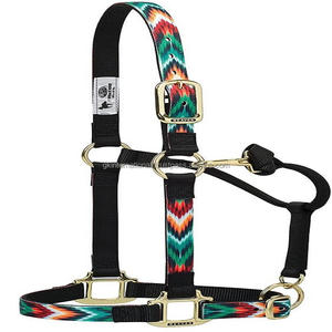 Correas de nailon 100% con diseño personalizado, correas de nailon con cuello halter de caballo con cinta de diseñador cosida, ajustable para Barbilla y garganta, hardware de latón - Product Image 1