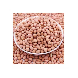 ถั่วลิสงอบแห้งแบบดิบคุณภาพระดับพรีเมียมสำหรับการเพาะปลูกทั่วไป - Product Image 1