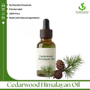 Fabricant et fournisseur en gros d'huile de cèdre himalayenne pure, proposant une huile essentielle de qualité supérieure pour les cosmétiques et les soins personnels à l'échelle mondiale - Product Image 1