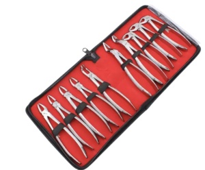 10-Piece German Stainless Steel <b>Dental</b> Surgical Instruments Set Manual Power Source Extraction Forceps - Product Image 1