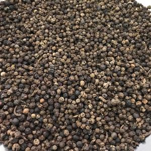 Pimienta Negra Premium en Grano 500GL 550GL 570GL 5MM ASTA CLEAN QUALITY ORIGEN VIETNAM GRANOS DE PIMIENTA SECOS PARA EXPORTACIÓN VENTA A GRANEL - Product Image 5