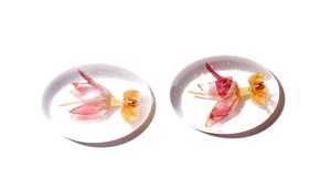Cabujón de Plástico Transparente con Forma Ovalada de Flor de Milkweed Tropical, 18x25 mm, Base Plana para Manualidades y Joyería - Product Image 3