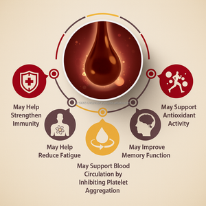 Korea Herbal Energy Shot con extracto de raíz de ginseng envejecido 30 barras líquidas 12,2 mg Saponinas - Product Image 3