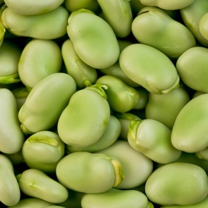 Haricots verts surgelés biologiques, nouvelle récolte de printemps, légumes cuits à la vapeur, en vente - Product Image 2