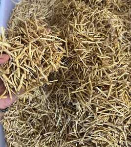 Racine d'Imperata Cylindrica séchée du Vietnam, rhizome d'herbe séché avec soin - Product Image 2