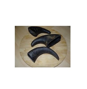 Alimento masticable de cuerno de búfalo para perros y gatos, diseño único, alimento de calidad a base de cuerno para perros. - Product Image 5