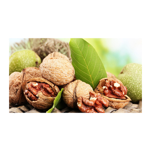 Noix de Grenoble de qualité supérieure, vente en gros, prix bas, option de collation saine - Product Image 3