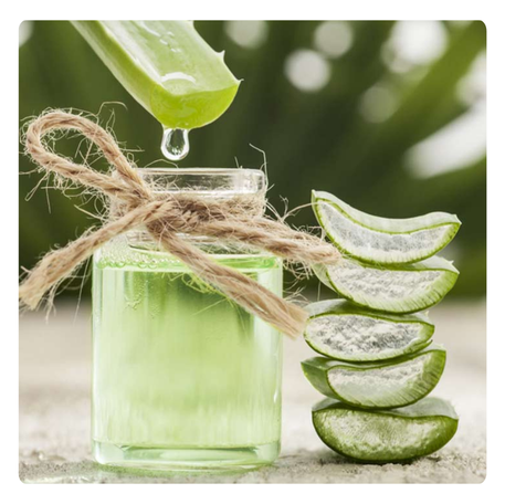 aloe vera hydrating serum Aloderma Hydrating Aloe Face Serum Made with 69% Organic Aloe Vera Deep Moisturizing Lightweight Aloe Vera Facial Seru main image 0