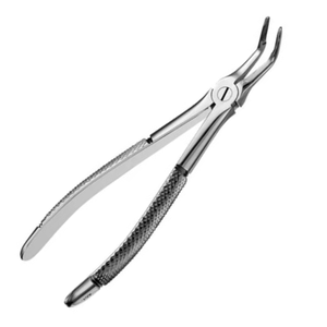 Forceps d'extraction dentaire à dents sécantes pour racines inférieures 46L, en acier inoxydable, instrument chirurgical pour l'élimination des racines, outil réutilisable pour la chirurgie buccale - Product Image 2
