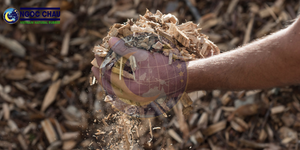 Sciure de bois compostable de qualité supérieure NGOC CHAU, jaune clair, durable, modèle agricole lié à l'énergie 440120, fabriqué au Vietnam - Product Image 6