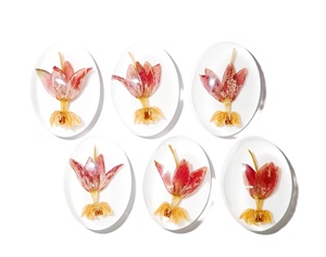 Cabujón de Planta de Flor de Milkweed Tropical Ovalado 18x25 mm sobre Base Plana Blanca para Manualidades y Joyería - Product Image 5
