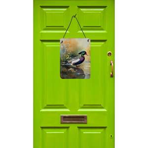 แผ่นไม้แขวนผนังลายเป็ด12X16หลากสีป้ายอะลูมิเนียมโลหะสำหรับตกแต่งบ้านประตูหน้าบ้าน - Product Image 2