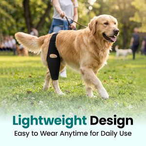 Adjustable Dog Knee <b>Brace</b> Protecter Hip <b>Brace</b> Support for Torn ACL with Side Stabilizers Neoprene Dog Hind Leg <b>Back</b> Leg Support - Product Image 2