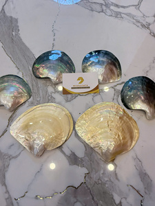 Concha de Ostra Marina Pulida de Nácar Dorado Natural Grande de 11 CM para Exportación al por Mayor - Product Image 5