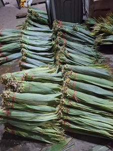 ใบไผ่ตากแดดธรรมชาติ100% ใบใหญ่ขนาด9ซม. + ราคาไม่แพงส่งตรงจากเวียดนามสำหรับทำเค้ก - Product Image 4