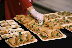 Platos Desechables de Hoja de Palma de Areca 100% Compostables y Biodegradables, Platos Ecológicos para Fiestas de Vietnam - Product Image 5