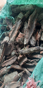 High Quality Joss Powder Natural Incense Making Binder Strong <b>Glue</b> Raw <b>Material</b> Bulk Pack Wholesale Supplier Vietnam Base - Product Image 4