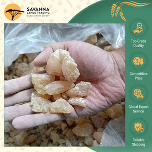 Proveedor Principal de Indonesia Vende Goma Copal de Alta Calidad Estándar para Uso en Incienso y Productos de Fragancia a Bajo Costo - Product Image 2