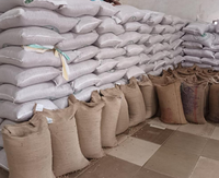 Graines de sésame blanches naturelles de qualité supérieure, taille uniforme, riche en huile, certifiées FSSAI, emballage en vrac, pâte de tahini – Meilleures ventes