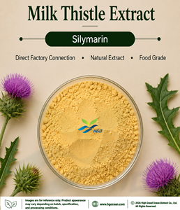 Hgo สารสกัดจากดอก Thistle นมธรรมชาติบริสุทธิ์ (เกรดอาหาร) ข้อมูลจำเพาะของ40% silymarin (สารสกัดที่ได้มาตรฐาน) - Product Image 1