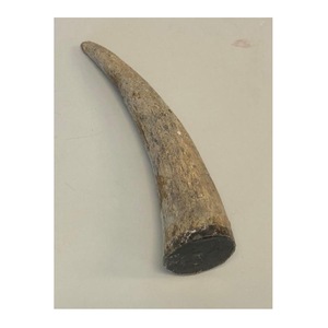 Natural Eco-Friendly Buffalo Horn Polished Tip Rustic Modern Design High Quality Black - Product Image 5