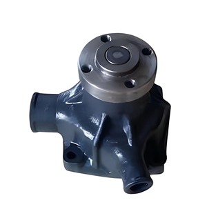 Conjunto de Bomba de Agua y Bomba de Aceite para Motor RENAULT FENDT 304LS 307LS 308LS OEM 382200610011 - Product Image 1