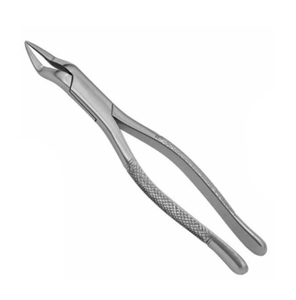 ARISTON INTERNATIONAL Forceps d'extraction dentaire manuels en acier inoxydable de haute qualité, forceps d'extraction pédiatriques Cowhorn CE - Product Image 4