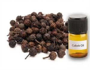 Aceite de Cubeba Natural al por Mayor, Piper Cubeba, Gingerly Naturals - Product Image 2