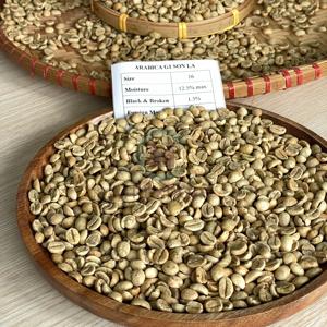 Grains de café vert Arabica de spécialité d'origine du Vietnam à vendre Arabica tasse fine grains de café vert de haute qualité pour la torréfaction - Product Image 2