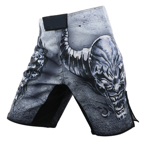 OEM Durable Lightweight Martial Arts Wear Fully Print Youth Gym Training Apparel Supplier Low MOQ MMA Shorts Cage Fight Trunks - Product Image 2