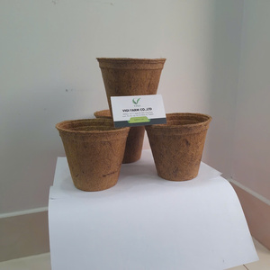 Pot en fibre de coco EcoGrow, solution de jardinage durable - Product Image 2