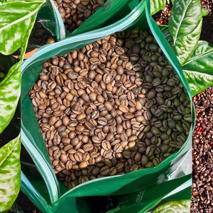 เมล็ดกาแฟเขียว โรบัสต้า อาราบิก้า ราคาดีที่สุด บรรจุภัณฑ์ขนาดใหญ่ 60 กก. - แจกตัวอย่างฟรี - Product Image 1