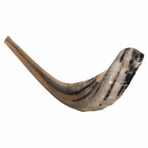 Shofar de Cuerno de Carnero Natural, Pulido, Ecológico, Instrumento Musical para Oración, Pieza Decorativa para el Hogar, Elegante y Hecho a Mano - Product Image 6