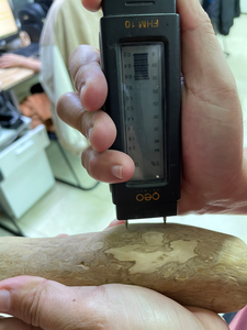 Jouet à mâcher en bois de café durable, le plus vendu, pour chiens – Bâtonnet naturel sans éclats pour soins dentaires et soulagement du stress – Toutes tailles - Product Image 4