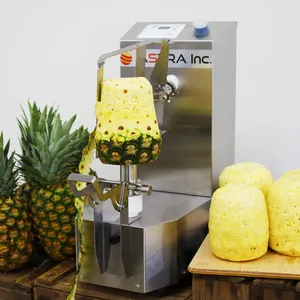 Yüksek verimli işleme otomatik paslanmaz kolay bakım meyve soyma makinesi KA-720P ananas kabak