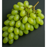 Raisins verts frais, cueillis en verger, fruits sucrés sans pépins, fraîcheur naturelle, pour la vente en gros, la vente au détail et l'exportation.