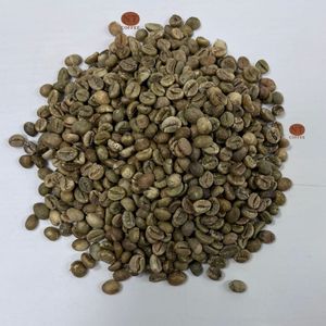 Raw <b>Robusta</b> <b>Coffee</b> S16 Grade Bold Taste High Caffeine <b>Beans</b> for Instant <b>Coffee</b> and Blending Bulk Supply Best Competitive Price - Product Image 1