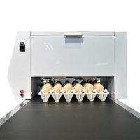 Imprimante jet d'encre haute vitesse Faith pour œufs – Machine de codage et d'estampage de date et de logo pour œufs de poule, de canard et de colombe