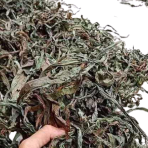 Té de Diente de León Orgánico, Té Herbal Natural para Desintoxicar y Limpiar el Hígado, a Granel, Fábrica de Vietnam, Marca Privada - Product Image 3