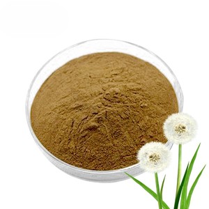 High Quality Plant Based Lions Tooth Root Powder 100% Natural Food Grade Dandelion Root Powder Rich in Natural Antioxidants - Product Image 1
