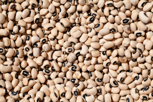 Haricots Matki Entiers Premium, Légumineuses Riches en Protéines Naturelles, Qualité Export en Gros, Sac de Marchandises Alimentaires - Product Image 4