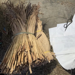 Hyacinthe d'eau séchée de Grade B, matériau abordable pour la production artisanale et la vente en gros 18 ANGLE - Product Image 1