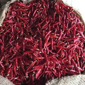 Piment rouge séché entier allongé OCEAN LINK EXIM – Épice naturelle de qualité supérieure pour la cuisine et l'exportation - Product Image 3
