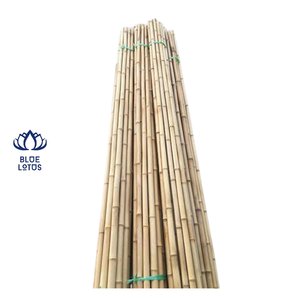 Postes de Bambú Ecológicos Duraderos de Alta Calidad, Palos de Soporte para Plantas Sostenibles de Grado Premium, Venta al por Mayor - Product Image 1
