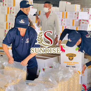 Anacardo orgánico de Vietnam Proveedor de granos W180/W240/W320/W450 LP DW BB Proceso tostado de exportación a granel-Mr. David WA 0084 986778999 - Product Image 5