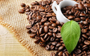 Café Arabica torréfié et moulu de spécialité USDA, avec 0,1 % de grains noirs et brisés, provenant d'un fournisseur exportateur en gros du Vietnam - Product Image 2