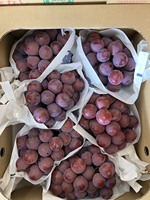 Fijne kwaliteit, geweldige kwaliteit, verse, uitgebreide variëteit, groene, zwarte, rode Japanse druiven, fruit.