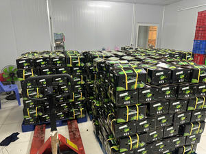 มะนาวไร้เมล็ดเวียดนามสีเขียวสดสำหรับส่งออกมีขนาดสม่ำเสมอและอายุการเก็บรักษานาน - Product Image 5